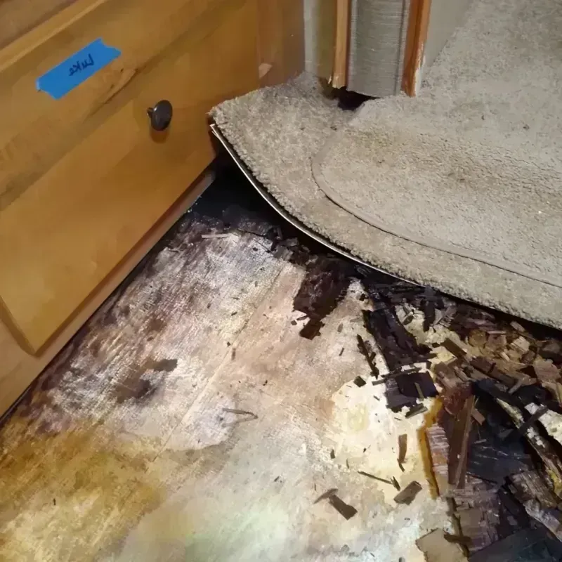 Best Wood Floor Water Damage Service in Simonton Lake, IN